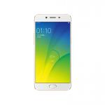 Oppo R9s Plus