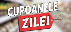 CUPOANELE ZILEI #413: Oferta de luni pentru familie, brazi și decorațiuni pentru Crăciun, îmbrăcăminte, încălțăminte cu extra-discount